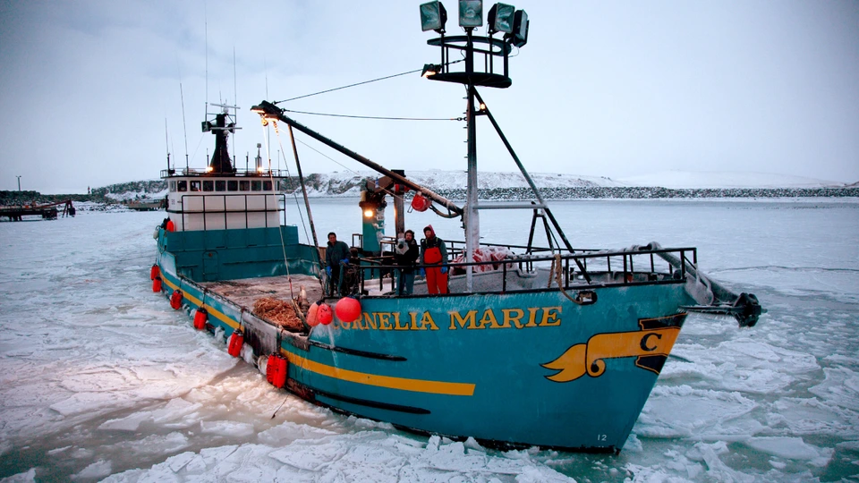 Сезон 4 Серия 17