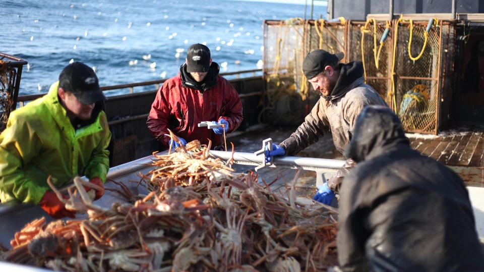 Сезон 8 Серия 17