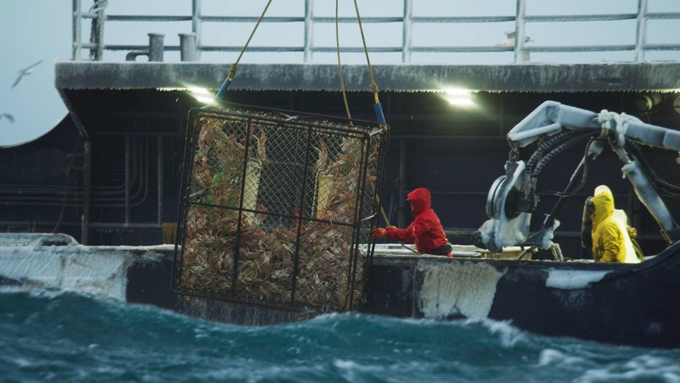 Сезон 15 Серия 11