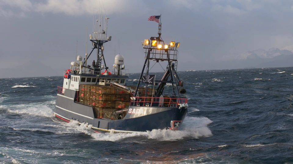 Сезон 15 Серия 22