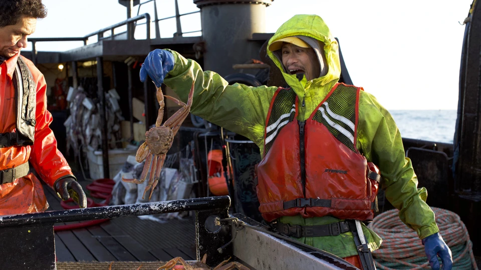 Сезон 15 Серия 20