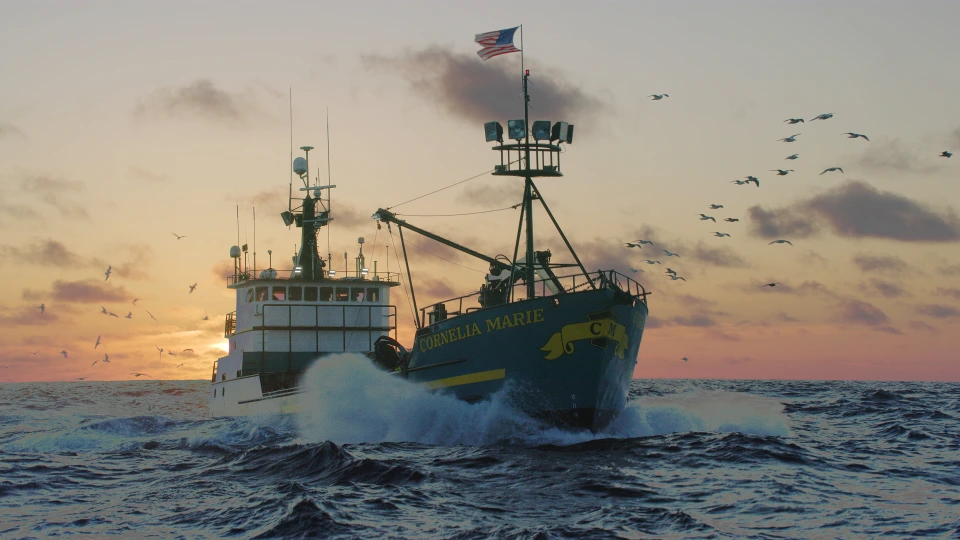 Сезон 14 Серия 23