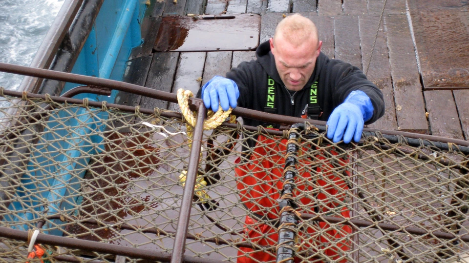 Сезон 5 Серия 17