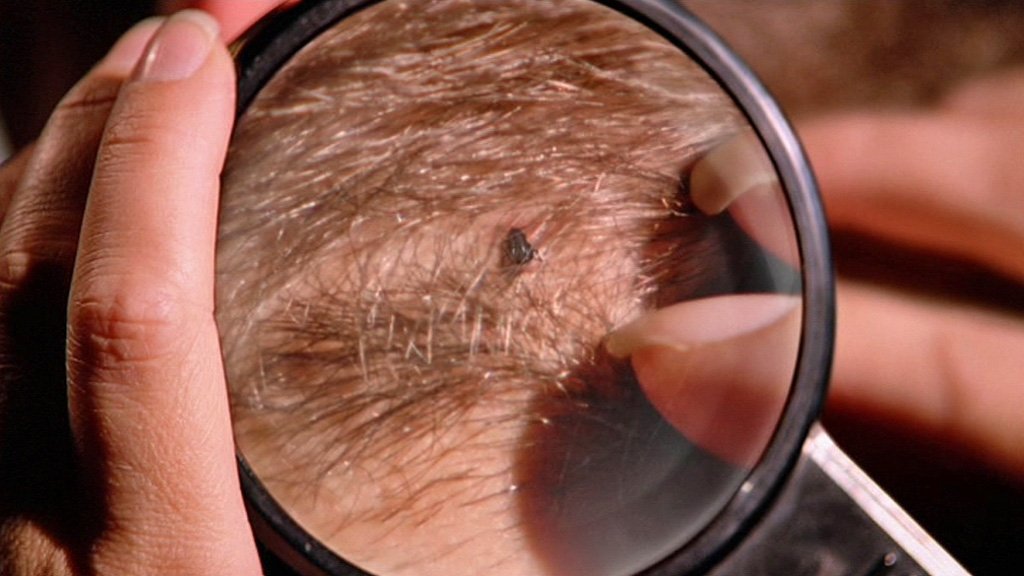 Сезон 1 Серия 17