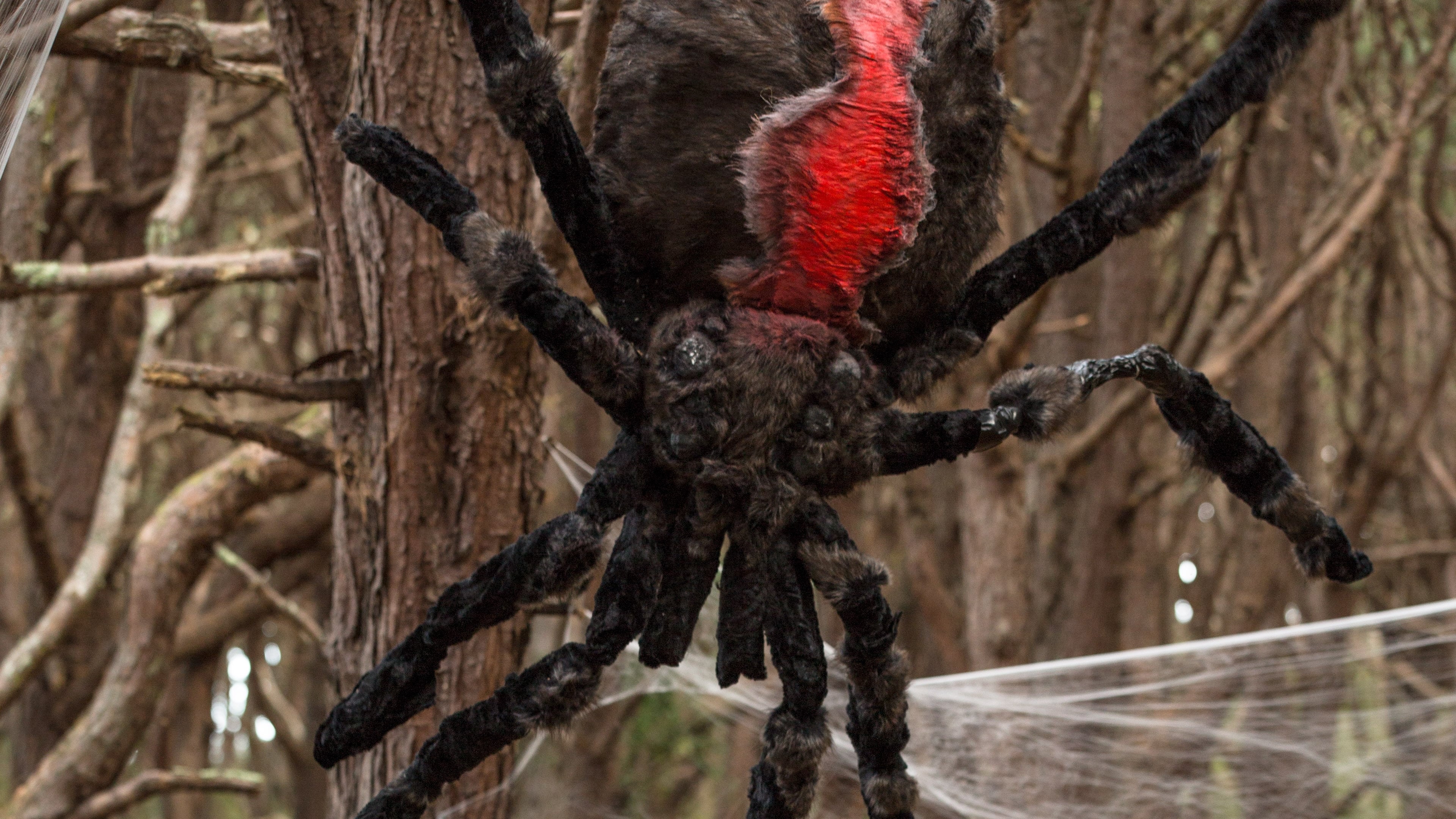 Сезон 3 Серия 1