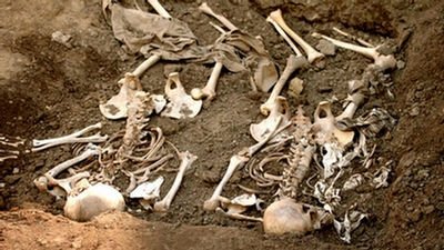 Сезон 13 Серия 9