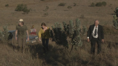 Сезон 12 Серия 12