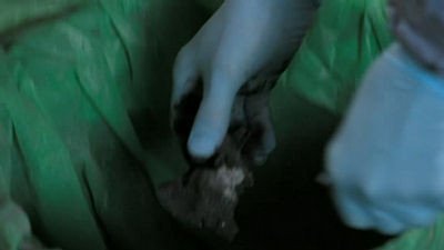 Сезон 11 Серия 6