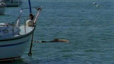 Сезон 8 Серия 4