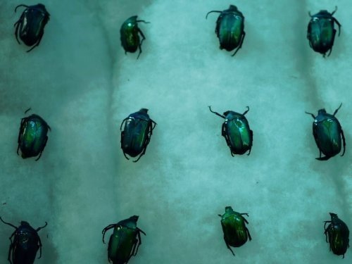 Сезон 3 Серия 4