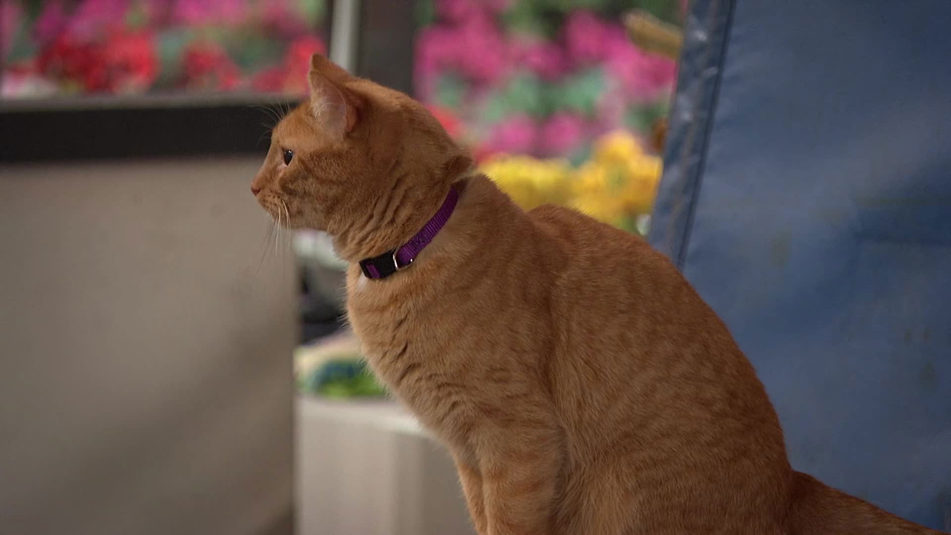 Сезон 1 Серия 2