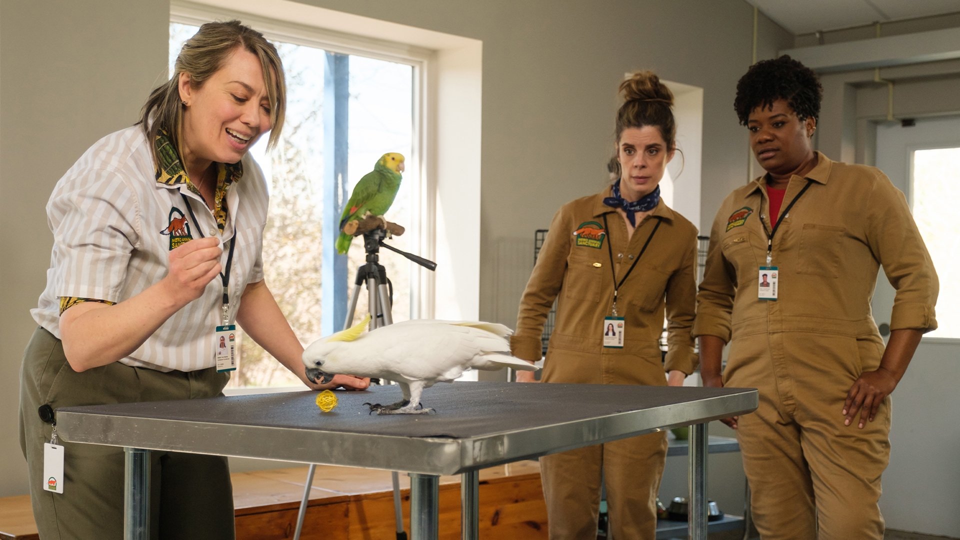 Сезон 3 Серия 2