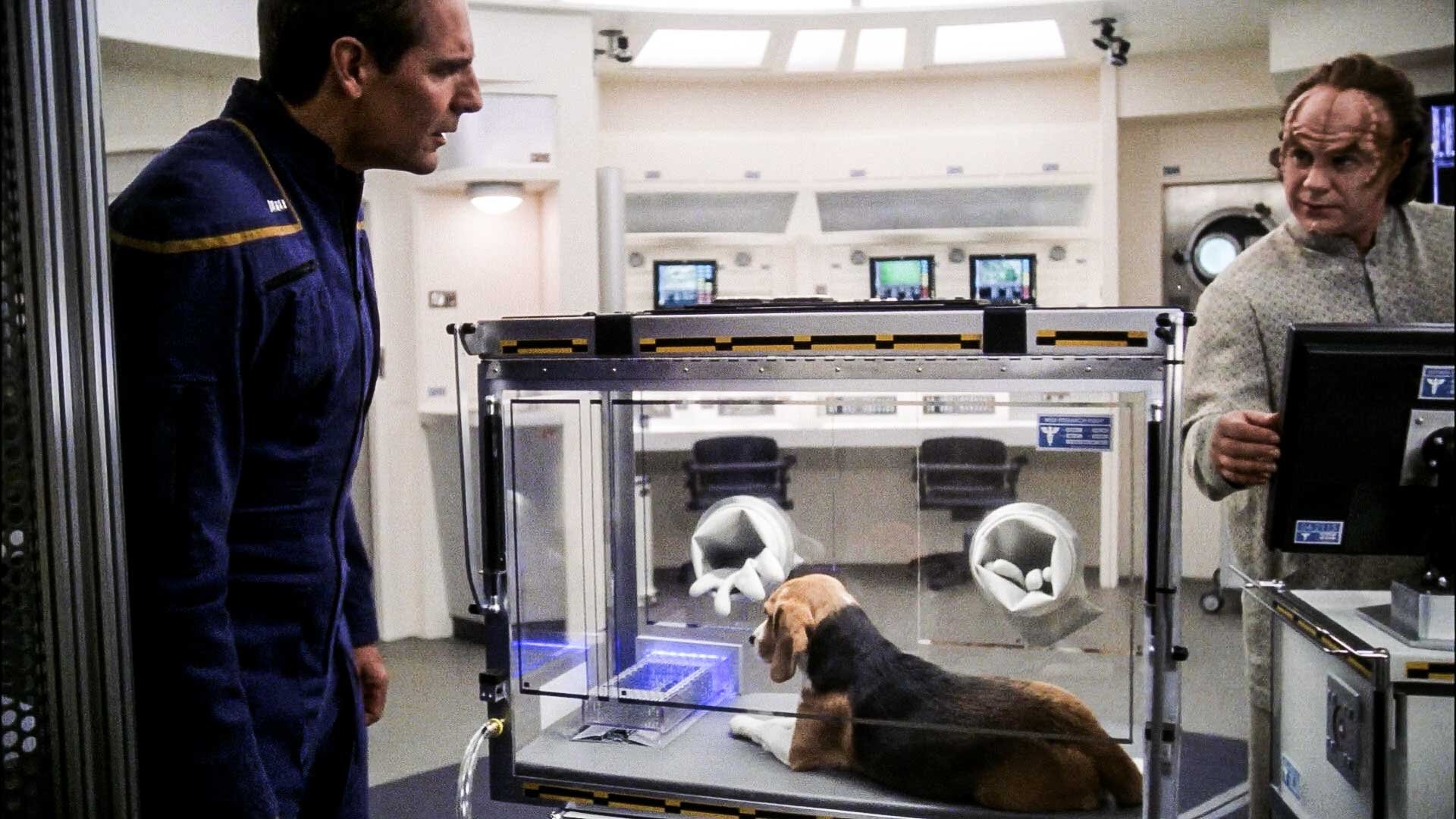 Сезон 2 Серия 5