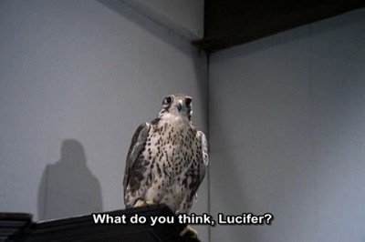 Сезон 4 Серия 14