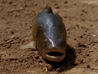 Сезон 1 Серия 7