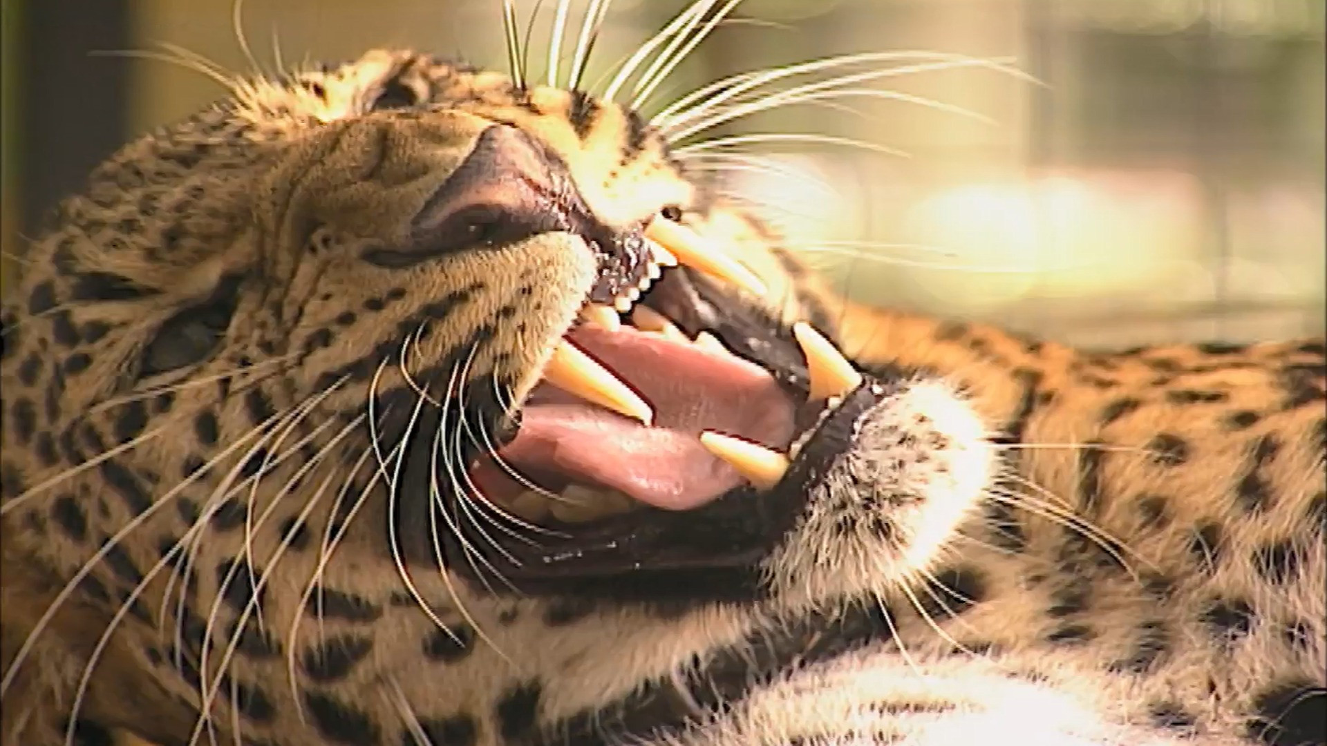 Сезон 1 Серия 10